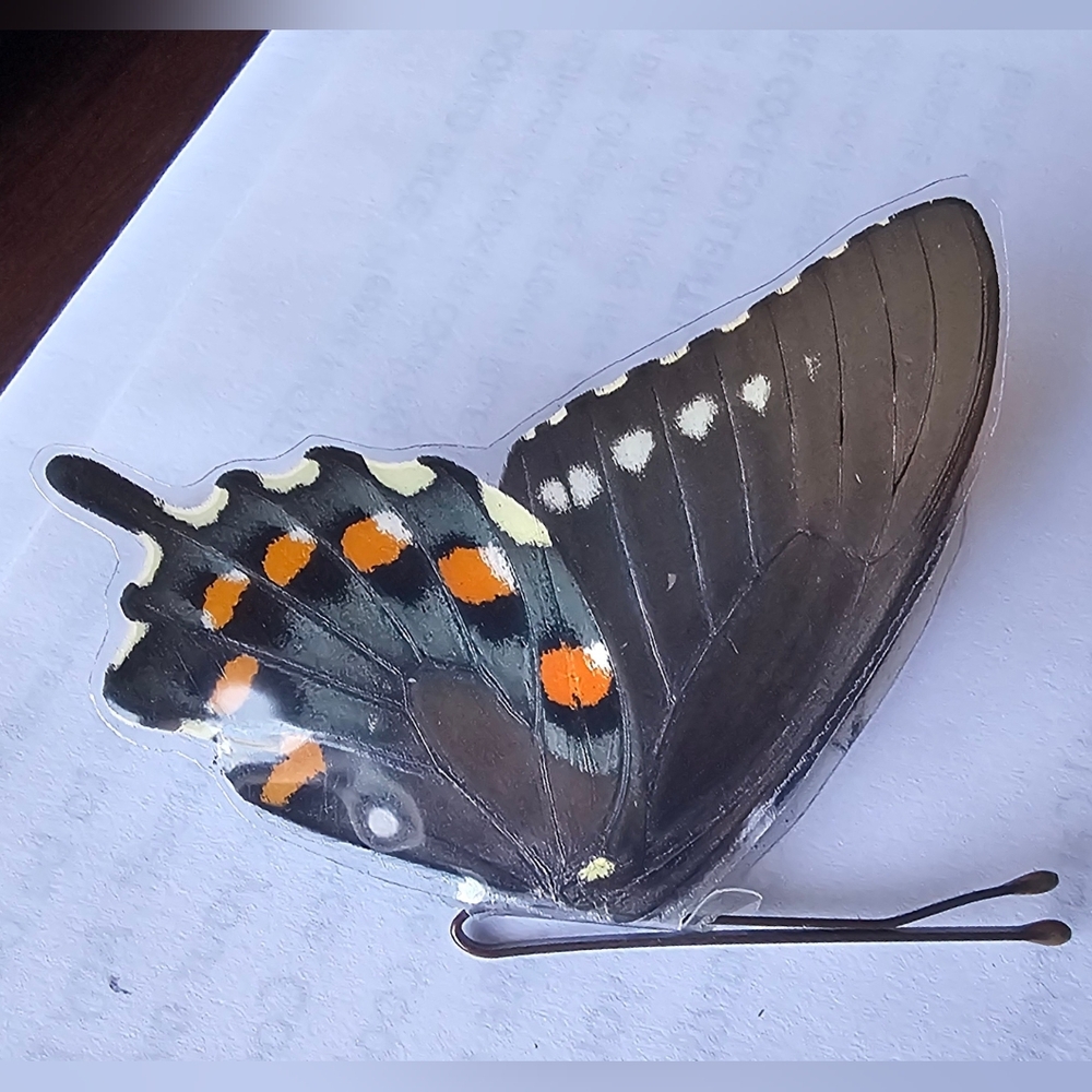 Butterfly Wing Hair Clip